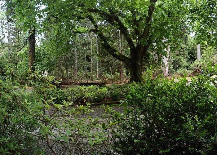 O Fada Da Floresta E Seu Refugio P/ Ate 4 Pessoas