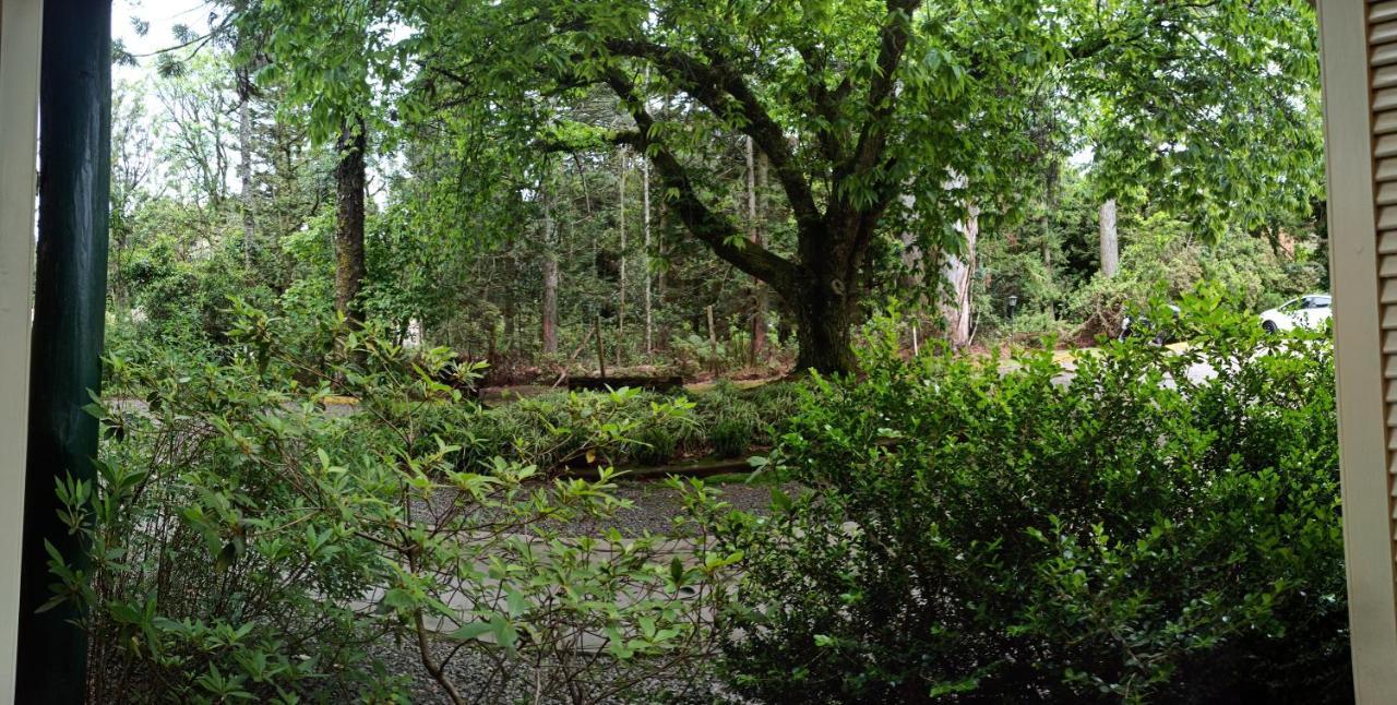 公寓 O Fada Da Floresta E Seu Refugio P/ Ate 4 Pessoas *