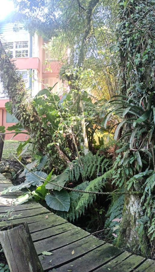 公寓 O Fada Da Floresta E Seu Refugio P/ Ate 4 Pessoas