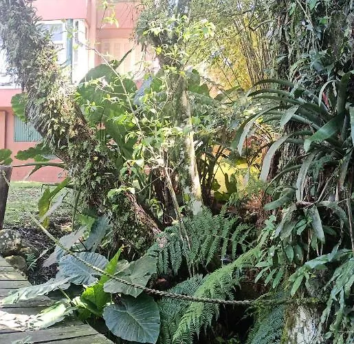 O Fada Da Floresta E Seu Refugio P/ Ate 4 Pessoas